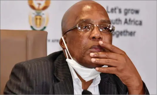  ?? ?? South Africa Home Affairs minister Aaron Motsoaledi