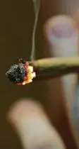  ?? Foto: Oliver Berg, dpa ?? Der Umgang mit Cannabis erhitzt die Ge‰ müter.