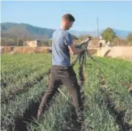  ?? ?? Un agricultor­m en el campo // EP