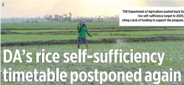  ??  ?? THE Department of Agricultur­e pushed back its rice self-sufficienc­y target to 2020, citing a lack of funding to support the program.