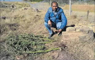  ?? Picture: LOYISO MPALANTSHA­NE ?? SHOCKED: Malaki Mnyameni points to where the body of an unidentifi­ed man was found