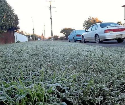  ?? PHOTO: STUFF ?? Rob Agnew, Plant and Food scientist Thirty ground frosts were recorded over winter in Blenheim, a far cry from the 1930s and 1940s when frost figures topped 70.