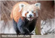 ?? ?? West Midlands Safari Park