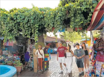  ?? Photograph­s by Mel Melcon Los Angeles Times ?? VISITORS STROLL under Olvera Street vines that may be about 150 years old and could yield grapes suitable to be made into wine.