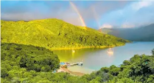  ?? ?? Punga Cove Resort view with rainbow. Photo / Barekiwi