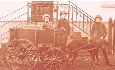  ?? FOTO: STADTARCHI­V MOERS ?? Drei Kinder mit Hundekarre­n aus Moers um 1910.