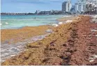  ?? DANIEL SLIM/AFP VIA GETTY IMAGES ?? Sargassum algae piles along the shore at a beach in Cancun, Mexico, in May.