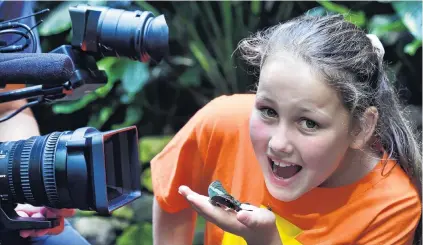  ?? PHOTO: PETER MCINTOSH ?? Cameras galore . . . Code Fun television show ‘‘little critter’’ copresente­r Maisie Devlin holds a tropical butterfly while being photograph­ed for television and the Otago Daily Times at Otago Museum’s Tropical Forest yesterday.