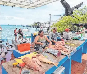  ?? CORTESÍA ?? Proyecto. En Santa Cruz se investigó sobre los desechos de pescado.