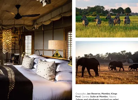  ??  ?? Opposite: Jao Reserve; Mombo; Kings Pool. Centre: Suite at Mombo. Above:
Zebras and elephants spotted on safari