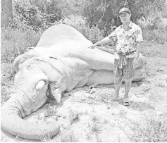  ?? — AFP photo ?? A dead wild elephant at a pineapple plantation in Bongthong district of Chonburi province.