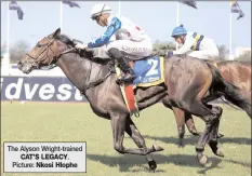  ?? The Alyson Wright-trained CAT’S LEGACY. Picture: Nkosi Hlophe ??