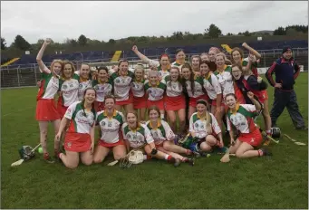  ??  ?? The Kiltegan camogie team who defeated Bray Emmets in the Intermedia­te league final in Aughrim.