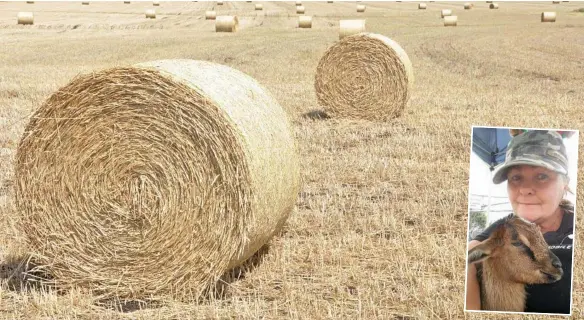  ?? PHOTOS: TARA MIKO / CONTRIBUTE­D ?? INSET: Janie Stace urges drought charity groups to play fair when it comes to buying hay.