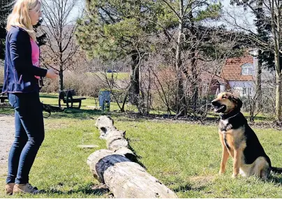  ?? FOTO: SABINE MAURER ?? Antonia Zimmermann baut beim Spaziereng­ehen mit ihrer Hündin Bonnie zum Beispiel Balanceübu­ngen über einen Baumstamm ein. Solche Spiele sorgen dafür, dass sich die Tiere nicht langweilen.