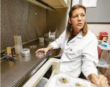  ??  ?? LeeAnne Campbell, a research associate, transfers cell cultures known as calluses to new nutrient-rich mediums, visually editing out contaminan­ts or undesirabl­e growths.