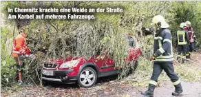  ??  ?? In Chemnitz krachte eine Weide an der Straße Am Karbel auf mehrere Fahrzeuge.