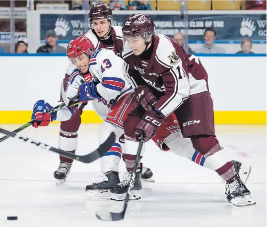  ?? PETER LEE WATERLOO REGION RECORD ?? “It will be nice to finally play at home,” said Petes rookie Mason McTavish, who had nine points in as many games during the renovation-induced road stretch.