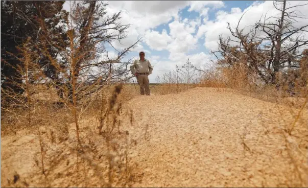  ?? (AP/Mark Rogers) ?? Jude Smith, a biologist at the Muleshoe National Wildlife Refuge outside Muleshoe, Texas, looks May 18 at a big mound of sand on his property. A dust storm deposited the sand over a two-day period this spring.