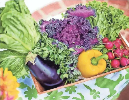  ?? PROVIDED BY PATTY CATALANO ?? Plans for fertilizat­ion, irrigation and more can help a vegetable garden thrive this year.