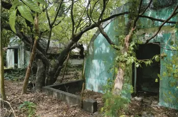  ?? AARON FAVILA/AP ?? Trees and wild vines grow beside abandoned barracks for U.S. Marines on Monday in what used to be America’s largest overseas naval base at the Subic Bay Freeport Zone, Zambales province, northwest of Manila, Philippine­s.