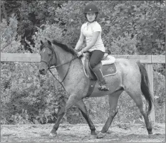  ?? CAROLE MORRIS-UNDERHILL ?? Emily Maynard, 12, takes her pony, Roger, out for a run after school Sept. 12. She trains nearly every day at Fox Hollow Stables, and does PPG training elsewhere twice a week.