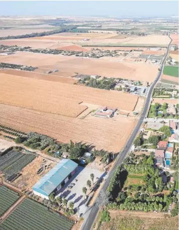  ?? // ÁLVARO CARMONA ?? Vista aérea de las parcelacio­nes de la Vega de Córdoba