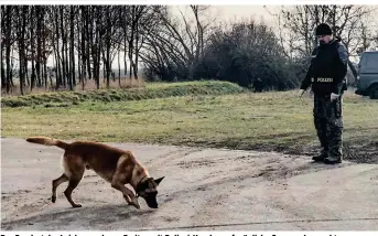  ??  ?? Der Fundort der Leiche wurde am Freitag mit Polizei-Hunden auf mögliche Spuren abgesucht