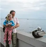  ??  ?? Auf Schritt und Tritt begegnet man in Florida interes santen Tieren, zum Beispiel einem Pelikan.