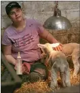  ??  ?? „ Elizabeth tends to the lambs in the community farm.