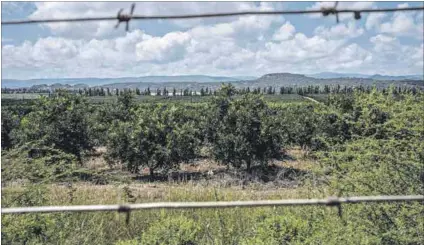  ?? Photo: James Puttick ?? Rivalry: There is a concern that agricultur­e will be negatively affected by the Musina-makhado Special Economic Zone as a result of dust pollution and competitio­n for water.