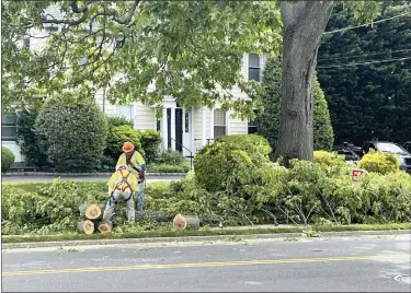  ?? JESSICA DAMIANO VIA AP ?? A profession­al tree crew in Glen Head, N.Y., safely removes and disposes of tree branches in 2020, as should be done in the wake of damaging storms.