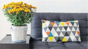  ??  ?? Those beautiful, brightly coloured sofa cushions often take so much abuse from everyone in the house. Interior designer Vern Yip says the firmest cushions contain high-density foam.