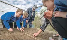  ?? ?? Planting red onions in an outdoor raised garden under expert supervisio­n.