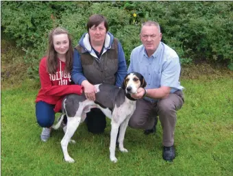  ??  ?? Aoife / Ester and Barry Keeffe from the Icda Associatio­n Cork With there Senior Hound Border Lad, Winner of the 2017 All Ireland Heats Drag Hunt at Pound Portmagee County Kerry, And Winner of the 2016 All Ireland Heats Drag Hunt at Scotstown Monaghan