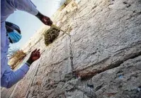  ?? Ariel Schalit / Associated Press ?? A worker removes prayer notes left by visitors in gaps between stones at Jerusalem’s Western Wall ahead of Rosh Hashanah, the Jewish new year. Yom Kippur is Wednesday and Thursday.