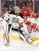  ?? (Reuters) ?? ANAHEIM DUCKS goalie Jonathan Bernier battles behind the net with Calgary Flames center Lance Bouman in the first period of the Ducks’ 4-3 road conquest of the Flames on Sunday night.