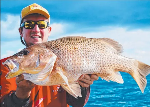  ??  ?? Terrence ‘‘Bomber’’ Farrell with a stonker golden snapper