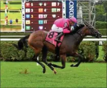  ?? PHOTO SUSIE RAISHER/NYRA ?? Ruby Notion took advantage of a smaller field and remained on the turf to capture Monday’s $200,000 Caress Statkes as a 27-1 entry.