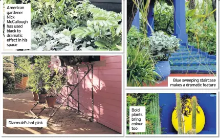  ??  ?? Diarmuid’s hot pink
Bold plants bring colour too
Blue sweeping staircase makes a dramatic feature