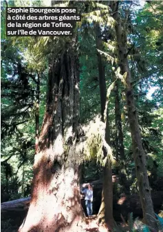  ??  ?? Sophie Bourgeois pose à côté des arbres géants de la région de Tofino, sur l’île de Vancouver.