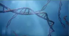  ??  ?? Altta: Sudaki bir DNA molekülünü­n sanatçı tasarımı görüntüsü