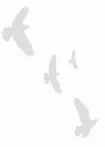COFFIN, John Watson (Wally) | Cape Breton Post | PressReade­r