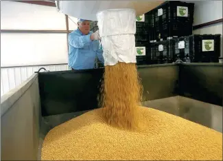  ?? REUTERS ?? A farmer fills a soybean container at Bean and Bean Cotton Company in Gideon, Missouri.