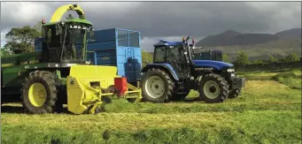  ??  ?? Poor weather in the autumn has led to fodder shortages now. Photo: .Michelle Cooper Galvin