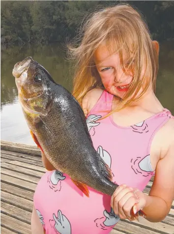  ??  ?? CHILD’S PLAY: Layla Raduka 5, with the 780 gram redfin she caught from the Barwon River.