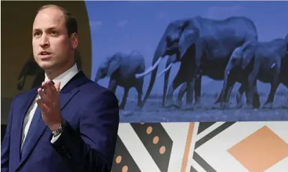  ?? ?? Prince William delivers a speech at the Tusk conservati­on awards in London last year. Photograph: Toby Melville/AP