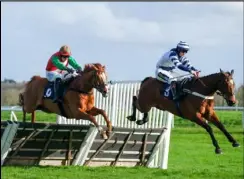  ?? ?? Doyen Quest clears the last before cruising to victory in the BetVictor Handicap Hurdle Ref: 12-0624 L