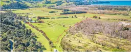  ?? ?? The 15.9ha, flat greenfield land sits adjacent to Whitianga’s existing urban limit.
