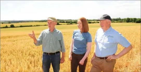  ??  ?? The Giggins family who are bringing tourists to Irish farms.